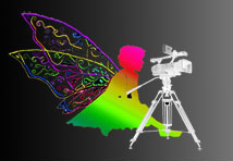 Party Videography
